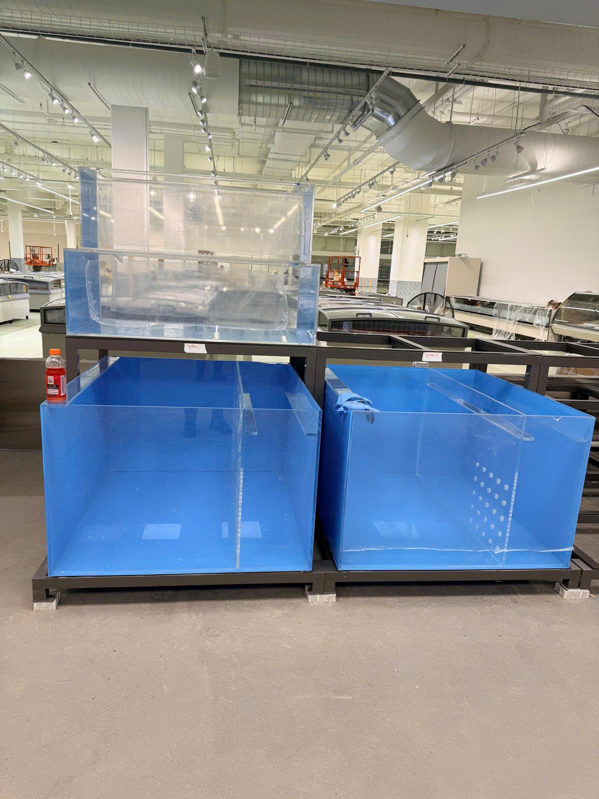 Bể acrylic trưng bày thực tế tại môi trường bán lẻ